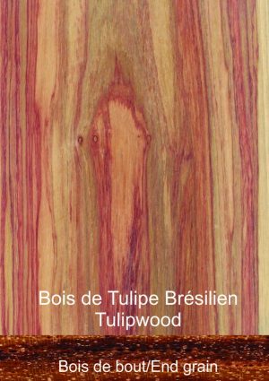 Bois de Tulipe brésilien