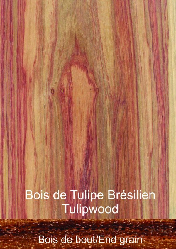 Tulipwood Exotic Wood Dalbergia decipularis (aussi Dalbergia