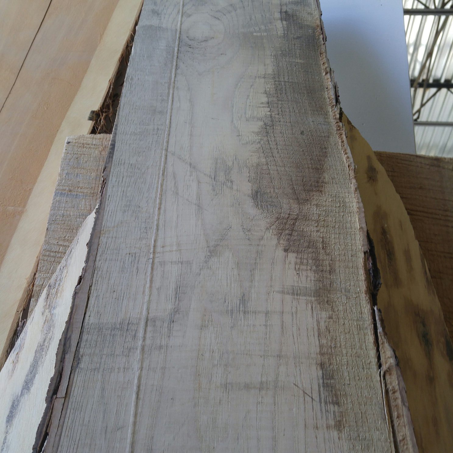 Plot Elm Elm block - Exotic Wood