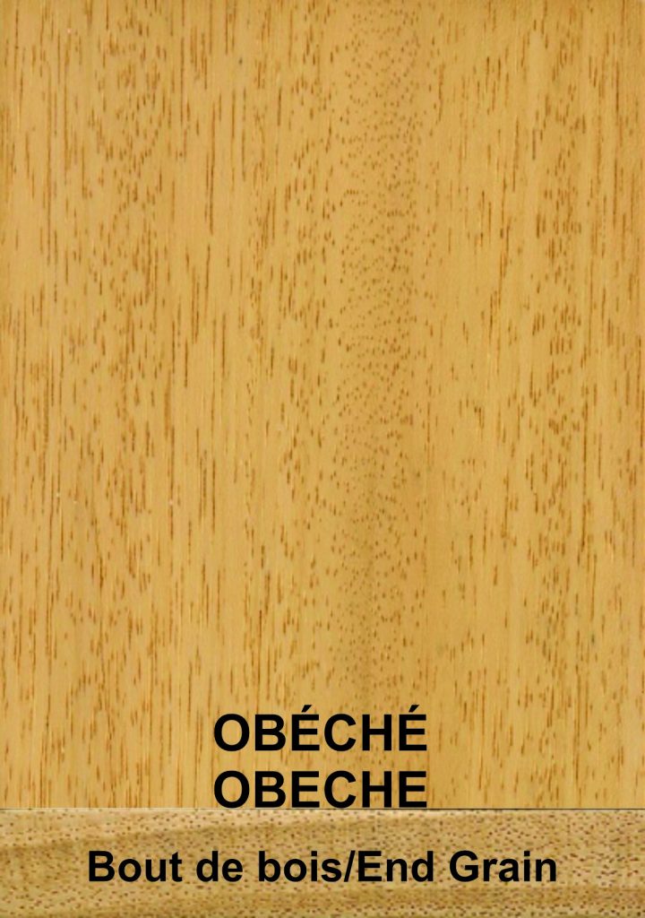 Obeche Exotic Wood Triplochiton scleroxylon