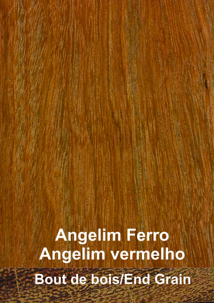 Angelim vermelho ( Dinizia excelsa) - Bois-Exotique.com