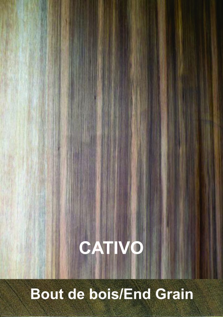 Banc Benito Roda en fonte et lattes en bois exotique