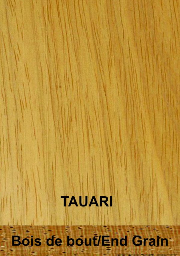 tauari-couratari-guianensis-aubl