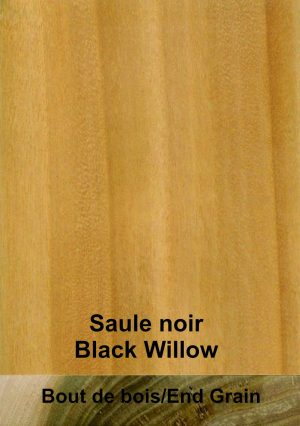Saule noir