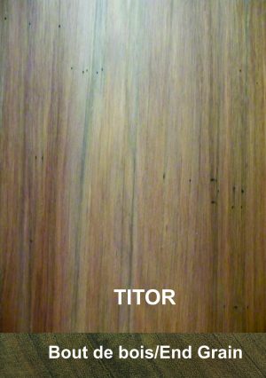 Titor